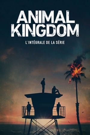 Regarder Animal Kingdom en Streaming