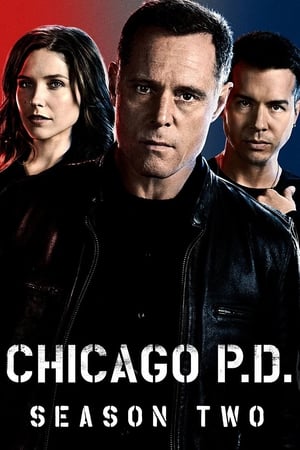 Chicago Police Department Saison 2 Episode 5