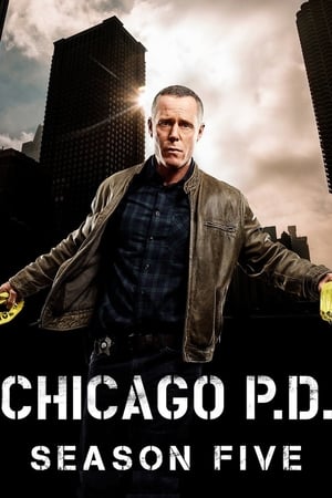 Chicago Police Department Saison 5 Episode 5