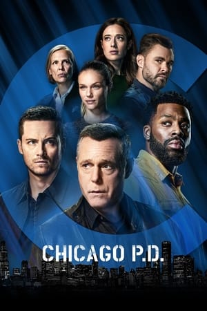 Chicago Police Department Saison 9 Episode 5