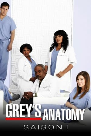 Grey's Anatomy saison 1