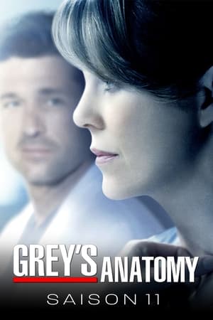 Grey's Anatomy saison 11