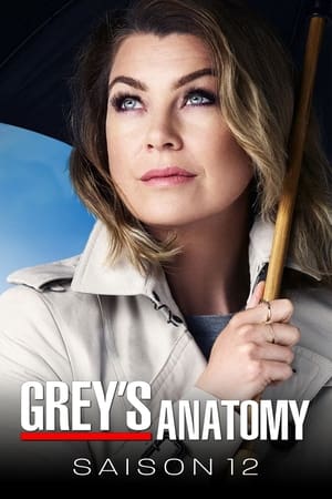 Grey's Anatomy saison 12