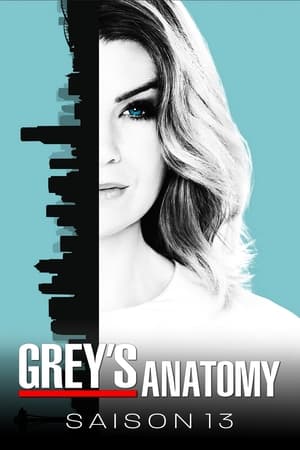 Grey's Anatomy saison 13