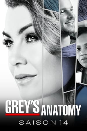 Grey's Anatomy Saison 14 Episode 5