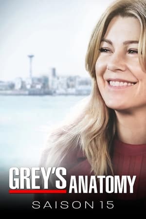 Grey's Anatomy Saison 15 Episode 5