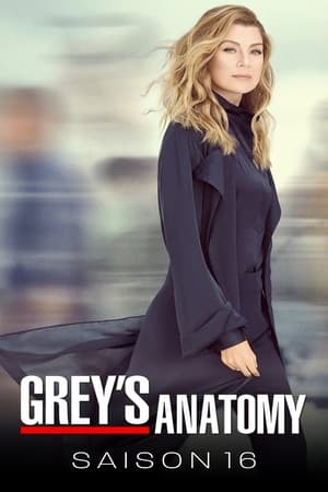 Grey's Anatomy Saison 16 Episode 5