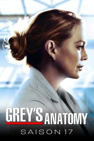 Grey's Anatomy saison 17