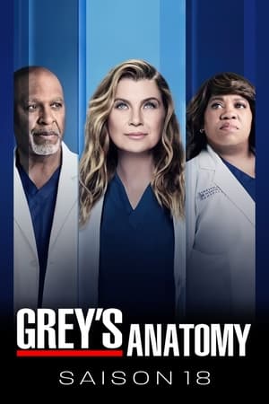 Grey's Anatomy saison 18