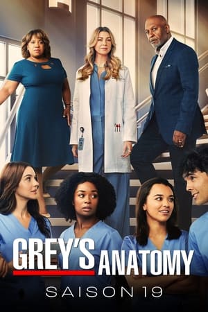 Grey's Anatomy saison 19