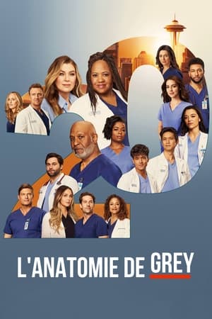 Grey's Anatomy Saison 20 Episode 5