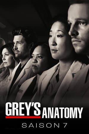 Grey's Anatomy Saison 7 Episode 5