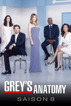 Grey's Anatomy saison 8