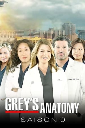 Grey's Anatomy saison 9