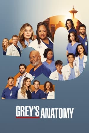 Grey's Anatomy saison 21