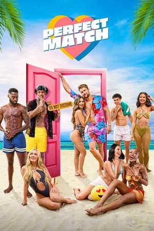 Regarder Perfect Match en Streaming