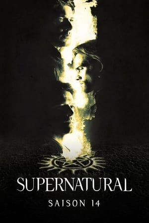 Supernatural Saison 14 Episode 5