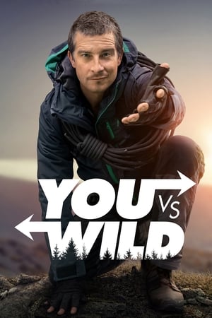 You vs. Wild